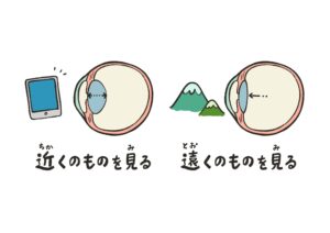 温活と疲れ目、毛様体筋について。