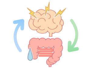 サプリメントで腸活をサポート。