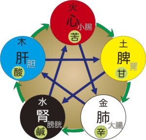 腸活とマクロビオティックについて。五味五臓とは？