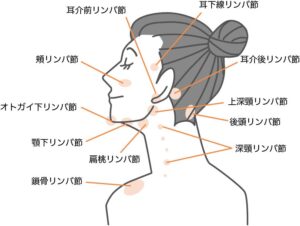 温活でリンパの流れを改善？リンパとは？