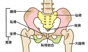 仙骨温活について。