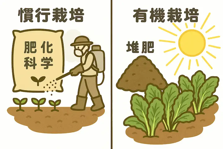 有機栽培と慣行栽培の違いを表すイラスト