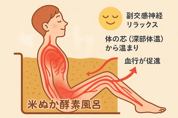 体の芯から温めることが、質の高い睡眠への近道です。